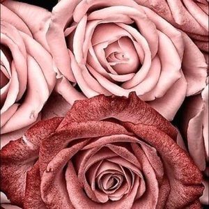 Meet your Posher, Nicki